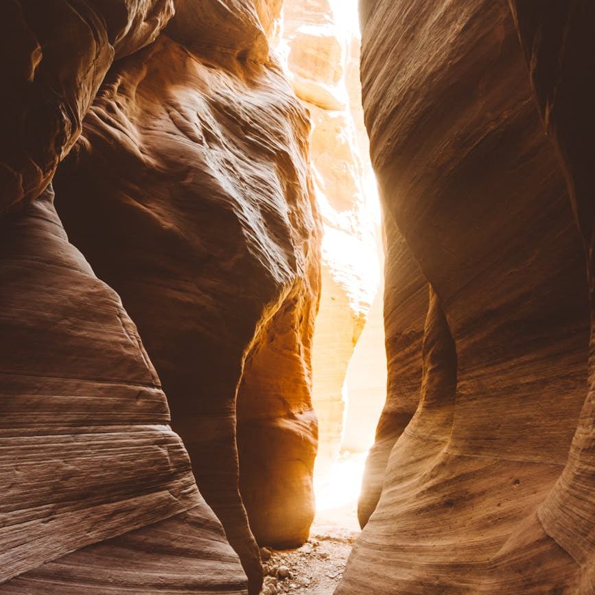 Photo by Dziana Hasanbekava on Pexels.com